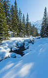 Small mountain stream with snowdrifts.
