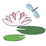 Water Lily and dragonfly isolated over white.