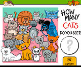 counting cats task for children