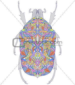 colorful beetle on white background.
