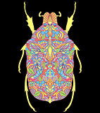 colorful beetle on black background