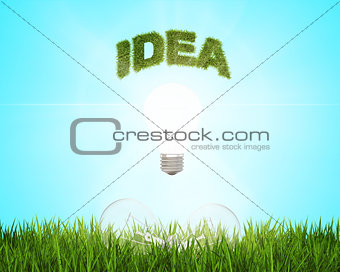 Glowing light bulb with the word idea over a field of fresh green grass, which are 2 more bulbs.. Green energy concept.