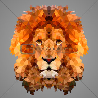 Lion low poly portrait