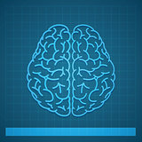 Human Brain Concept on Blue Background