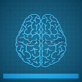 Human Brain Concept on Blue Background
