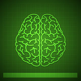 Human Brain Concept on Green Background
