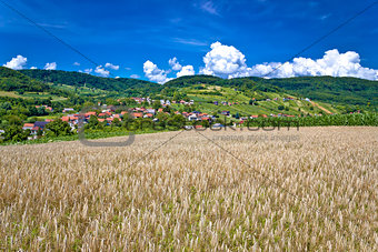 Wheat field and pictoresque mountain village