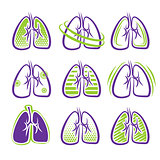 All About Lungs