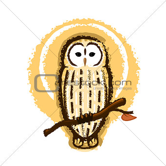 Barred Owl Illustration