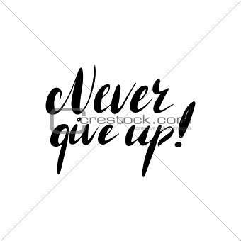 Never give up - hand painted ink brush pen modern calligraphy.