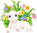Easter Sheep
