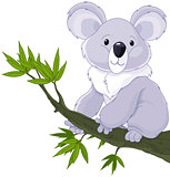 Koala on a Tree 