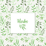 Seamless green plant background with square frame . Endless pattern with green twigs and leaves silhouette. Vector illustration