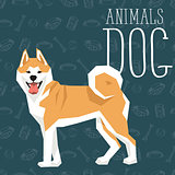 Vector Dogs Collection
