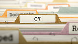 CV Concept. Folders in Catalog.