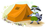 Summer holiday camp. Scout raccoon standing near tent. Raccoon tourist tent set. Camping