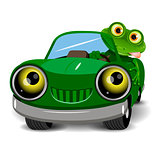 Frog in the car