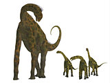 Atlasaurus Dinosaur with Babies