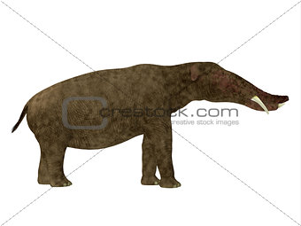 Platybelodon Side Profile