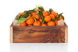 Fresh ripe mandarines in wooden crate.