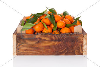 Fresh ripe mandarines in wooden crate.