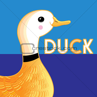 Beautiful portrait duck