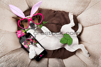 easter bunny dog in bed