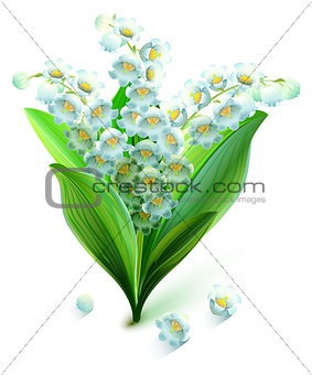 Flower lily valley. Bouquet lily of valley