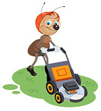 Ant gardener mows lawn. Gardener and lawn mower