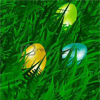 Eggs on grass background