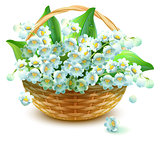 Wicker Basket of flowers. Flower lily valley. Bouquet lily of valley
