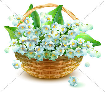 Wicker Basket of flowers. Flower lily valley. Bouquet lily of valley