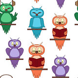 Seamless pattern with colorful owls