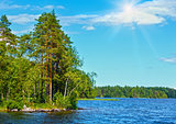 Lake Ruotsalainen summer view (Finland).