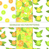 Set of seamless citrus pattern. Vector illustration