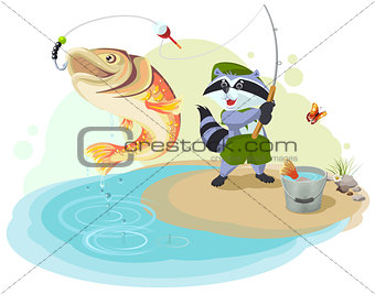 Raccoon scout fishing. Fisherman caught big fish