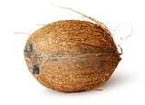 Coconut lying horizontally