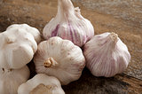 Group of fresh garlic bulbs