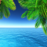 3D tropical landscape with palm trees and ocean