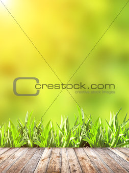 Summer grass and old wooden planks