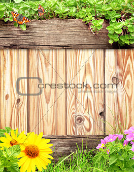 Summer background with wooden plank, butterfly, grass and green 