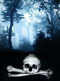 Skull and bones in the dark foggy forest
