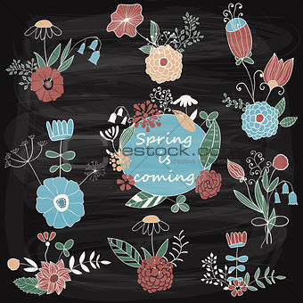 Vector Spring Floral Design Elements