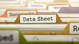 Folder in Catalog Marked as Data Sheet.