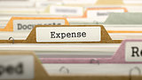 Expense Concept on File Label.