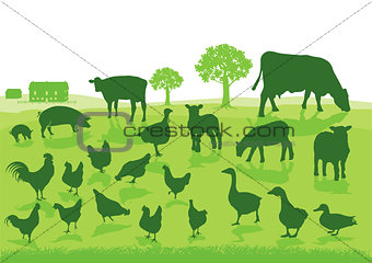 Organic Agriculture with Farm Animals