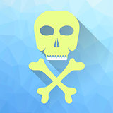 Skull and Crossbones Icon