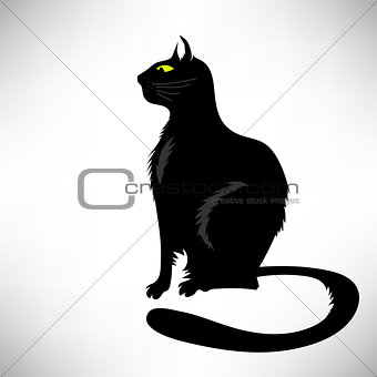 Black Cat Silhouette