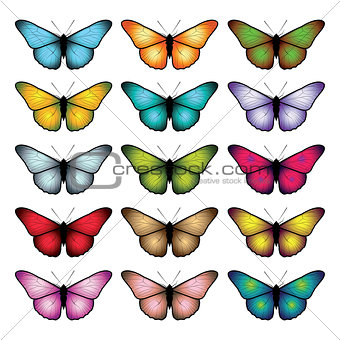 Set of butterflies isolated on white background. 