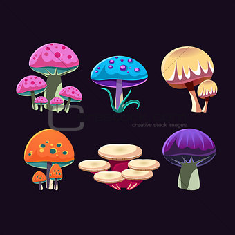 Fantastic Mushrooms Set